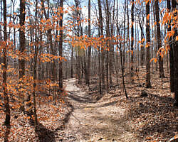 Glory Hole Falls Trail (Ozark Forest) Winter Pics photo Glory Hole Falls Trail (Ozark Forest) Winter Pics photo