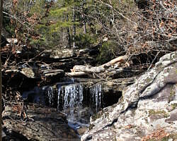 Waterfall Area Near Falling Water Falls (Ozark Forest) photo Waterfall Area Near Falling Water Falls (Ozark Forest) photo