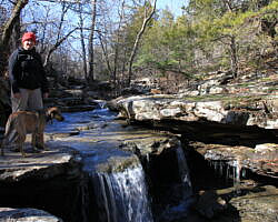 Waterfall Area Near Falling Water Falls (Ozark Forest) photo Waterfall Area Near Falling Water Falls (Ozark Forest) photo