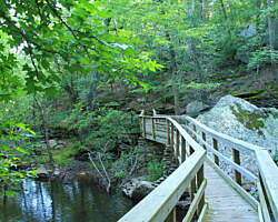 Petit Jean: Cedar Creek Trail - 1 mi photo Petit Jean: Cedar Creek Trail - 1 mi photo