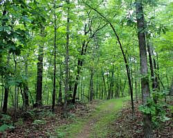Bull Shoals: Dogwood Nature Trail (Corps Rec Area) - 3 mi (o&b) photo Bull Shoals: Dogwood Nature Trail (Corps Rec Area) - 3 mi (o&b) photo