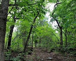 Bull Shoals: Dogwood Nature Trail (Corps Rec Area) - 3 mi (o&b) photo Bull Shoals: Dogwood Nature Trail (Corps Rec Area) - 3 mi (o&b) photo