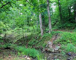 Bull Shoals: Dogwood Nature Trail (Corps Rec Area) - 3 mi (o&b) photo Bull Shoals: Dogwood Nature Trail (Corps Rec Area) - 3 mi (o&b) photo