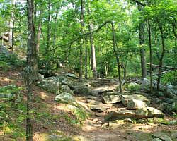 Petit Jean: Cedar Creek Trail - 1 mi photo Petit Jean: Cedar Creek Trail - 1 mi photo
