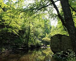 Petit Jean: Cedar Creek Trail - 1 mi photo Petit Jean: Cedar Creek Trail - 1 mi photo