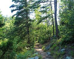 Petit Jean: Cedar Creek Trail - 1 mi photo Petit Jean: Cedar Creek Trail - 1 mi photo