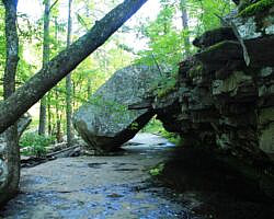 Petit Jean: Cedar Creek Trail - 1 mi photo Petit Jean: Cedar Creek Trail - 1 mi photo