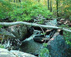 Petit Jean: Cedar Creek Trail - 1 mi photo Petit Jean: Cedar Creek Trail - 1 mi photo