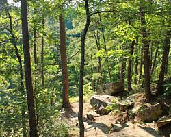 Petit Jean: Cedar Creek Trail - 1 mi photo Petit Jean: Cedar Creek Trail - 1 mi photo
