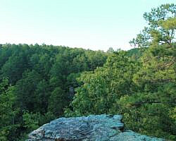 Petit Jean: Cedar Creek Trail - 1 mi photo Petit Jean: Cedar Creek Trail - 1 mi photo