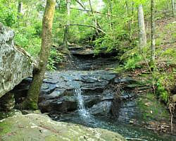 Petit Jean: Cedar Creek Trail - 1 mi photo Petit Jean: Cedar Creek Trail - 1 mi photo