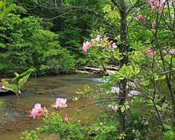 Kings River Falls Trail - 2 mi (o&b) photo Kings River Falls Trail - 2 mi (o&b) photo