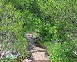 Kings River Falls Trail - 2 mi (o&b) photo Kings River Falls Trail - 2 mi (o&b) photo