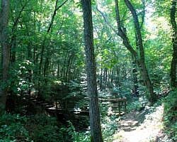 River View/Rock Wall Trails Loop (Tyler Bend/Buffalo River) - 4 mi photo River View/Rock Wall Trails Loop (Tyler Bend/Buffalo River) - 4 mi photo