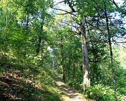 River View/Rock Wall Trails Loop (Tyler Bend/Buffalo River) - 4 mi photo River View/Rock Wall Trails Loop (Tyler Bend/Buffalo River) - 4 mi photo