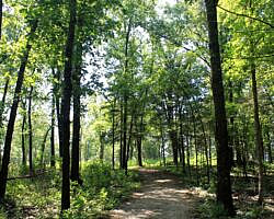 River View/Rock Wall Trails Loop (Tyler Bend/Buffalo River) - 4 mi photo River View/Rock Wall Trails Loop (Tyler Bend/Buffalo River) - 4 mi photo