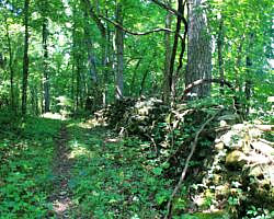 River View/Rock Wall Trails Loop (Tyler Bend/Buffalo River) - 4 mi photo River View/Rock Wall Trails Loop (Tyler Bend/Buffalo River) - 4 mi photo