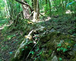 River View/Rock Wall Trails Loop (Tyler Bend/Buffalo River) - 4 mi photo River View/Rock Wall Trails Loop (Tyler Bend/Buffalo River) - 4 mi photo