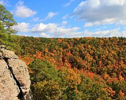 Sams Throne Fall Photos (Ozark Forest) photo Sams Throne Fall Photos (Ozark Forest) photo