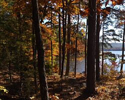 Cove Lake/Lookout Window Loop (Ozark Forest) - 4 mi photo Cove Lake/Lookout Window Loop (Ozark Forest) - 4 mi photo