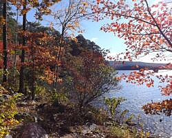 Cove Lake/Lookout Window Loop (Ozark Forest) - 4 mi photo Cove Lake/Lookout Window Loop (Ozark Forest) - 4 mi photo