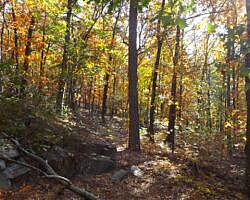 Cove Lake/Lookout Window Loop (Ozark Forest) - 4 mi photo Cove Lake/Lookout Window Loop (Ozark Forest) - 4 mi photo