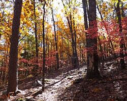 Cove Lake/Lookout Window Loop (Ozark Forest) - 4 mi photo Cove Lake/Lookout Window Loop (Ozark Forest) - 4 mi photo