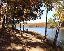 Cove Lake/Lookout Window Loop (Ozark Forest) - 4 mi photo Cove Lake/Lookout Window Loop (Ozark Forest) - 4 mi photo