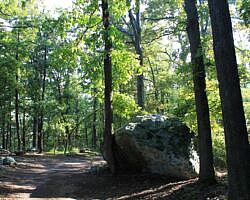 Mount Nebo: Bench Road Trail - 4 mi photo Mount Nebo: Bench Road Trail - 4 mi photo