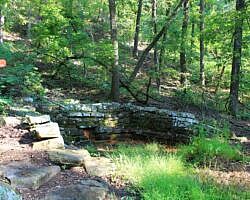 Mount Nebo: Bench Road Trail - 4 mi photo Mount Nebo: Bench Road Trail - 4 mi photo