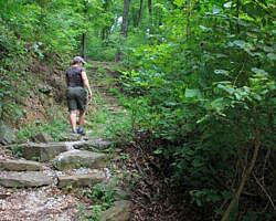 Round Top Mountain Trail - 4 mi photo Round Top Mountain Trail - 4 mi photo