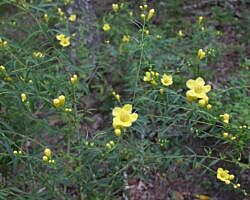 Round Top Mountain Trail - 4 mi photo Round Top Mountain Trail - 4 mi photo