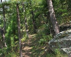 Round Top Mountain Trail - 4 mi photo Round Top Mountain Trail - 4 mi photo