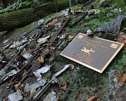 Round Top Mountain Trail - 4 mi photo Round Top Mountain Trail - 4 mi photo