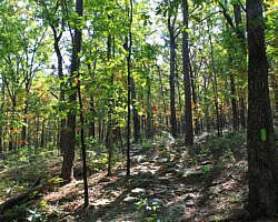 Pinnacle Mountain: Base Trail - 3 mi photo Pinnacle Mountain: Base Trail - 3 mi photo