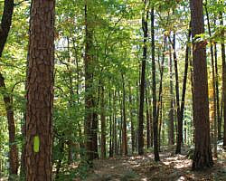 Pinnacle Mountain: Base Trail - 3 mi photo Pinnacle Mountain: Base Trail - 3 mi photo
