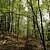 Caney Creek Trail - West (Ouachita Forest) - 11 mi (o&b) photo Caney Creek Trail - West (Ouachita Forest) - 11 mi (o&b) photo