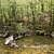 Caney Creek Trail - West (Ouachita Forest) - 11 mi (o&b) photo Caney Creek Trail - West (Ouachita Forest) - 11 mi (o&b) photo