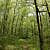 Caney Creek Trail - West (Ouachita Forest) - 11 mi (o&b) photo Caney Creek Trail - West (Ouachita Forest) - 11 mi (o&b) photo