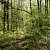 Caney Creek Trail - West (Ouachita Forest) - 11 mi (o&b) photo Caney Creek Trail - West (Ouachita Forest) - 11 mi (o&b) photo
