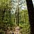 Caney Creek Trail - West (Ouachita Forest) - 11 mi (o&b) photo Caney Creek Trail - West (Ouachita Forest) - 11 mi (o&b) photo