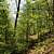 Caney Creek Trail - West (Ouachita Forest) - 11 mi (o&b) photo Caney Creek Trail - West (Ouachita Forest) - 11 mi (o&b) photo