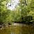 Caney Creek Trail - West (Ouachita Forest) - 11 mi (o&b) photo Caney Creek Trail - West (Ouachita Forest) - 11 mi (o&b) photo