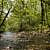 Caney Creek Trail - West (Ouachita Forest) - 11 mi (o&b) photo Caney Creek Trail - West (Ouachita Forest) - 11 mi (o&b) photo