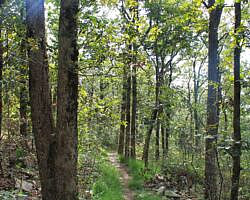 Queen Wilhelmina: Reservoir Trail - 1 mi (o&b) photo Queen Wilhelmina: Reservoir Trail - 1 mi (o&b) photo