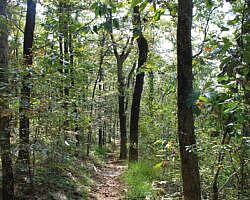 Queen Wilhelmina: Reservoir Trail - 1 mi (o&b) photo Queen Wilhelmina: Reservoir Trail - 1 mi (o&b) photo