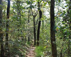 Queen Wilhelmina: Reservoir Trail - 1 mi (o&b) photo Queen Wilhelmina: Reservoir Trail - 1 mi (o&b) photo