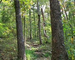 Queen Wilhelmina: Reservoir Trail - 1 mi (o&b) photo Queen Wilhelmina: Reservoir Trail - 1 mi (o&b) photo