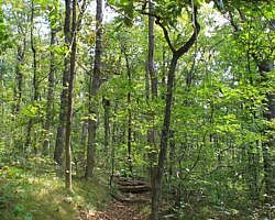 Queen Wilhelmina: Reservoir Trail - 1 mi (o&b) photo Queen Wilhelmina: Reservoir Trail - 1 mi (o&b) photo