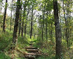 Queen Wilhelmina: Reservoir Trail - 1 mi (o&b) photo Queen Wilhelmina: Reservoir Trail - 1 mi (o&b) photo